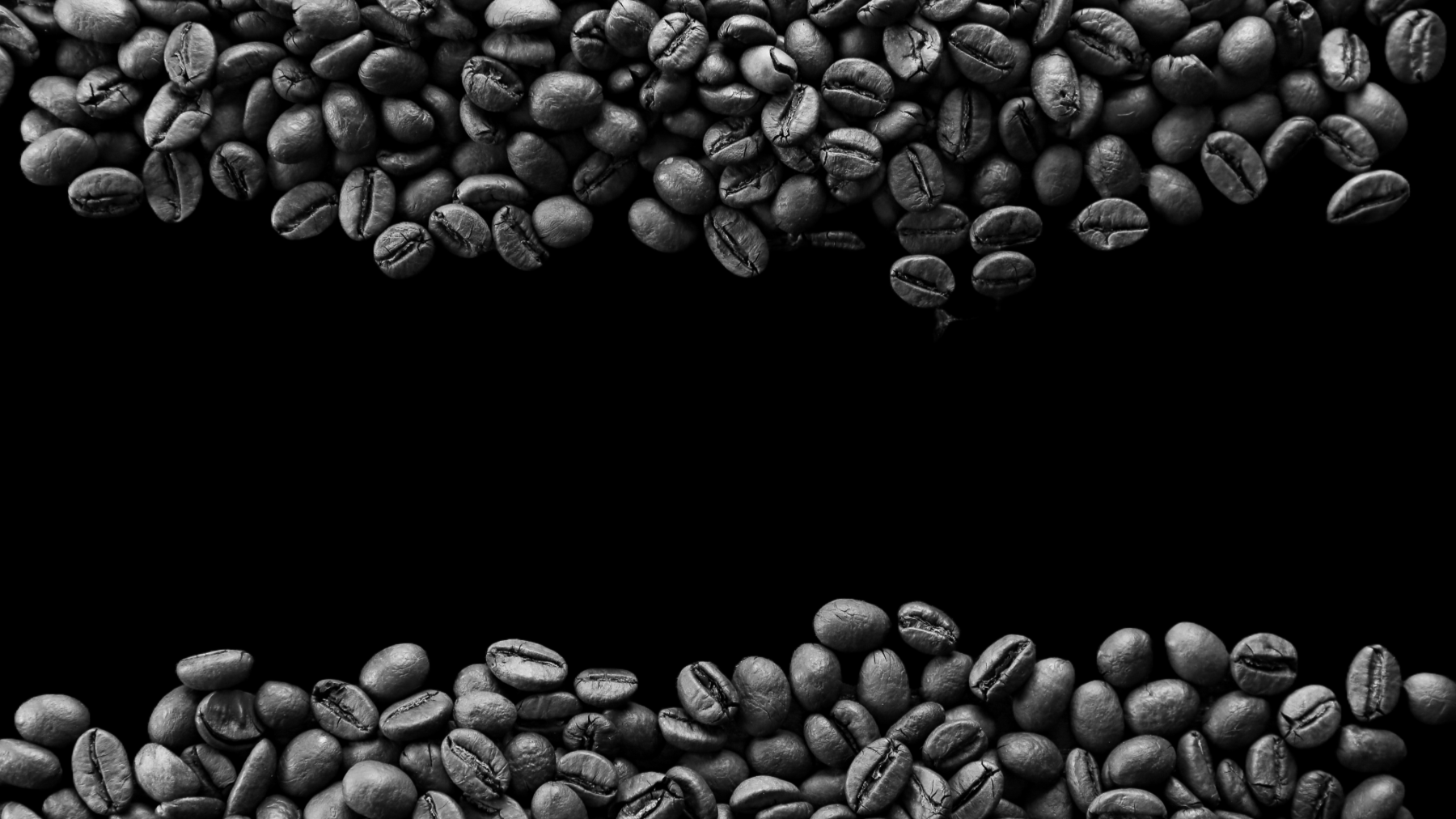 START Coffee Co.