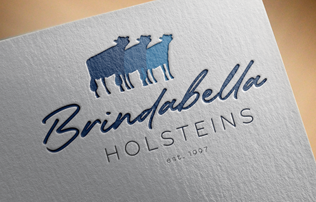 Logo with silhouette of three cows and text "Brindabella Holsteins, est. 1997"
