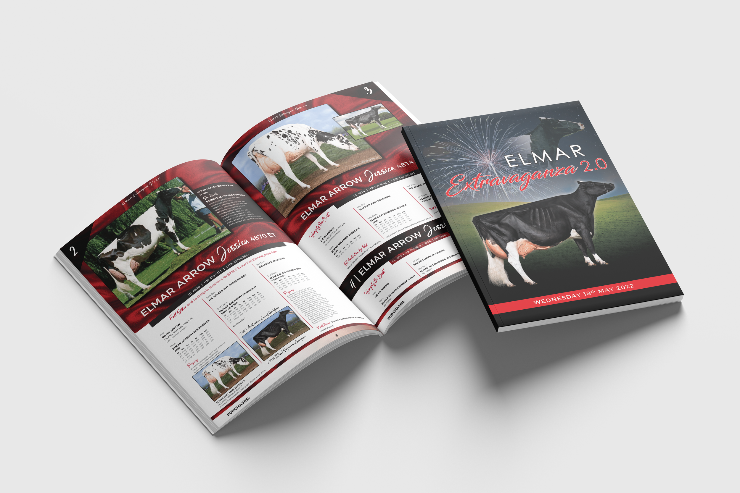 13 Free A4 A5 Magazine Mockup.png