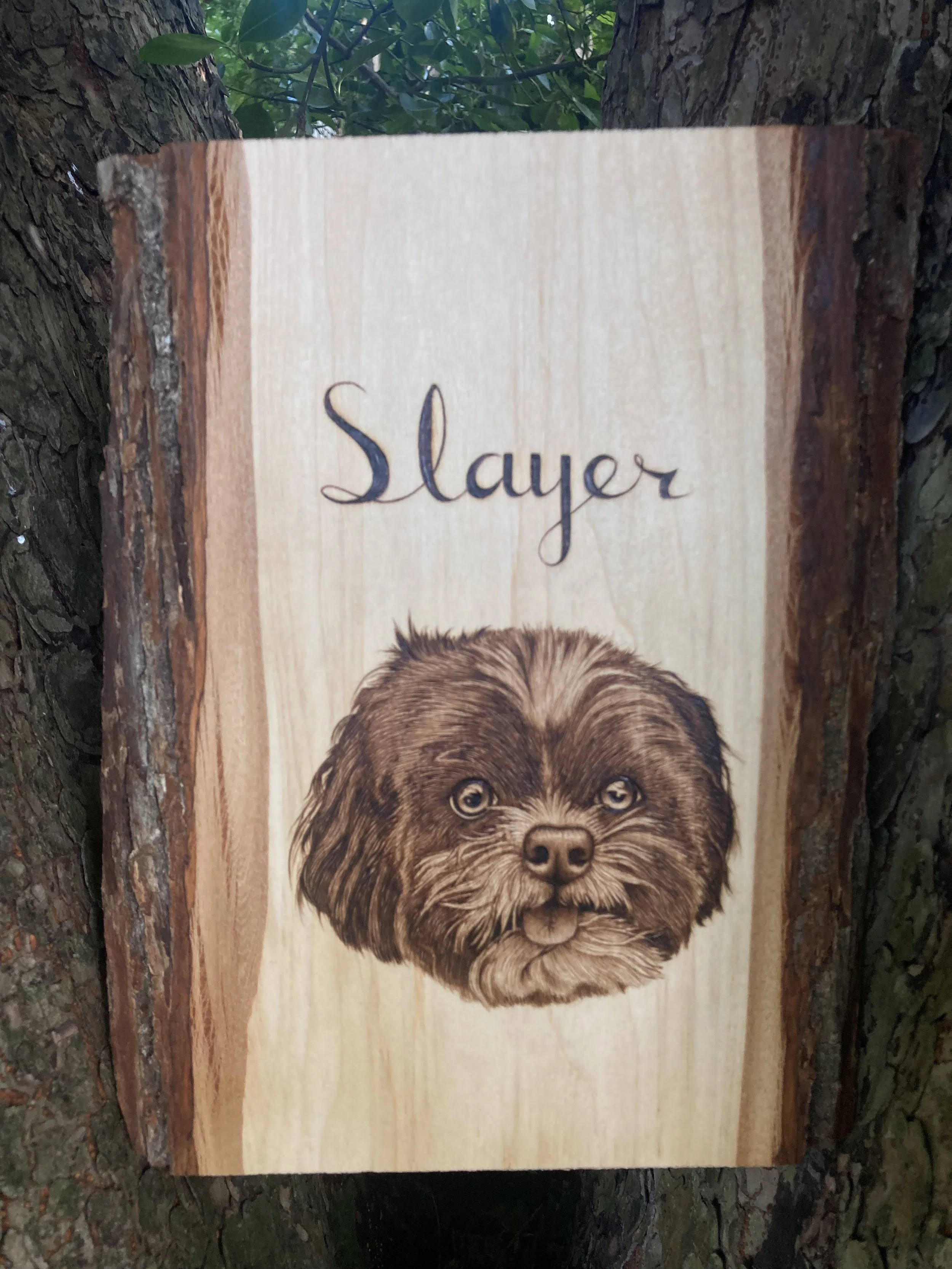 Pyrography Art - Slayer.jpg