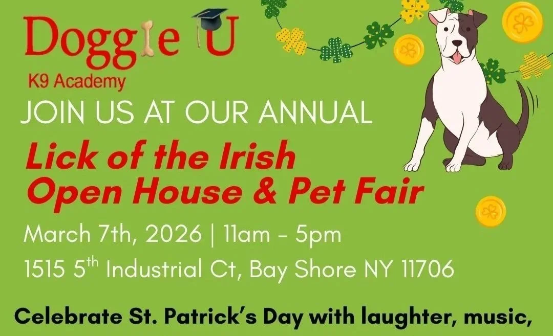 Doggie U K9 Academy Open House & Pet Fair (St. Patty's Themed)