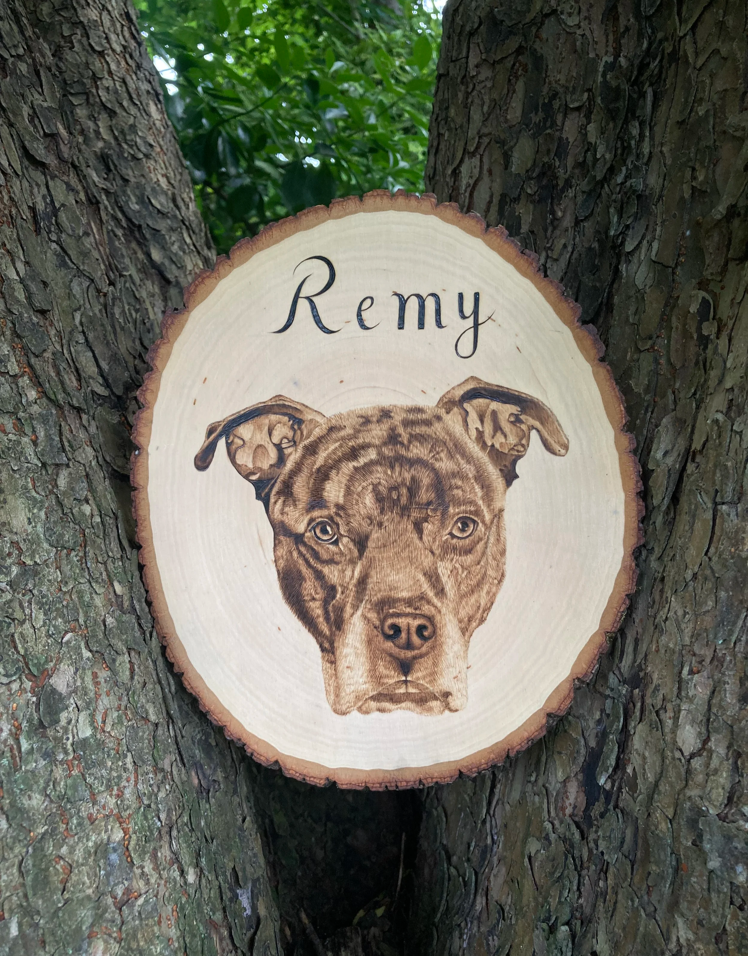 Pyrography+-+First+big+dog+portrait+%28remy%29.png
