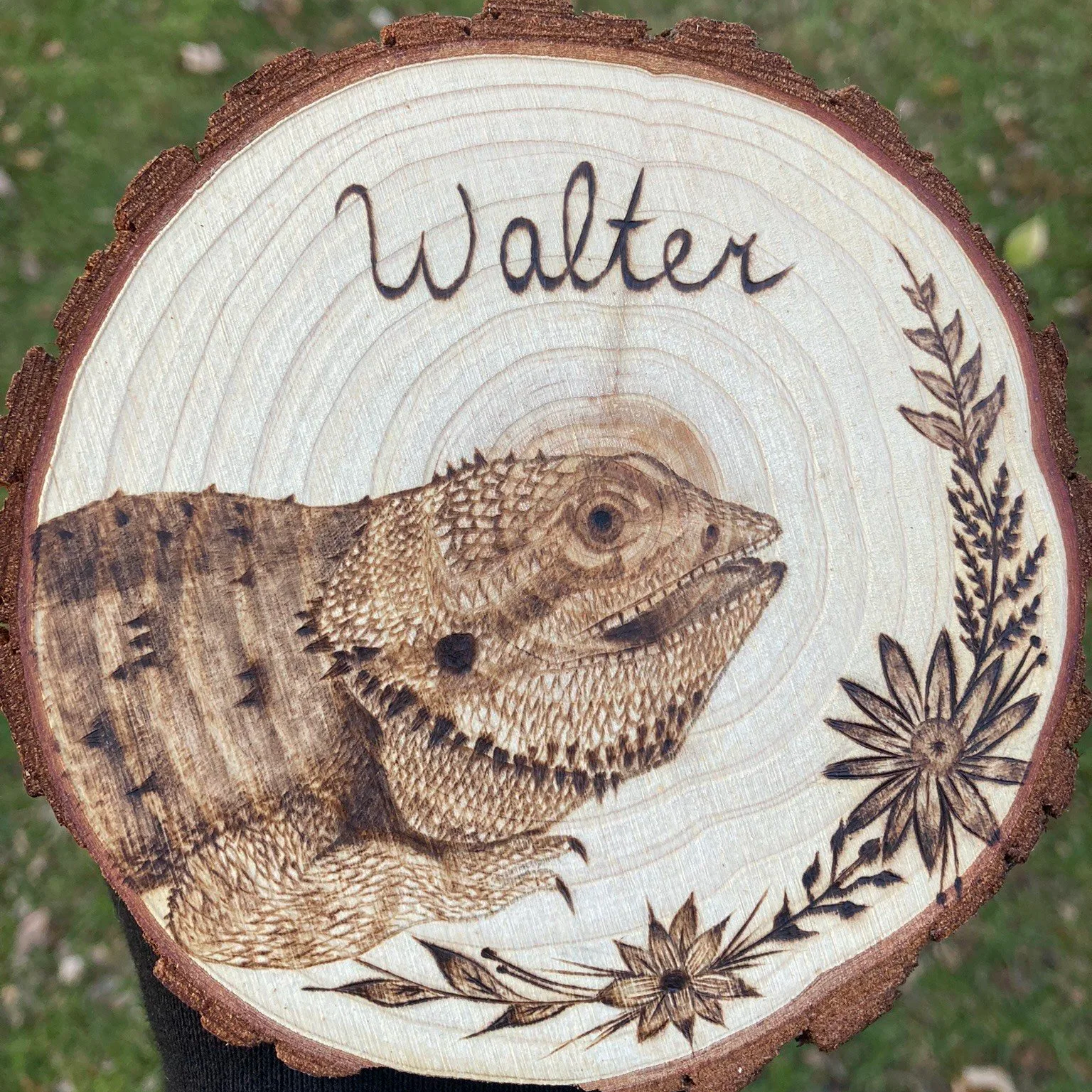 Pyrography+-+Bearded+Dragon+%28walter%29.png