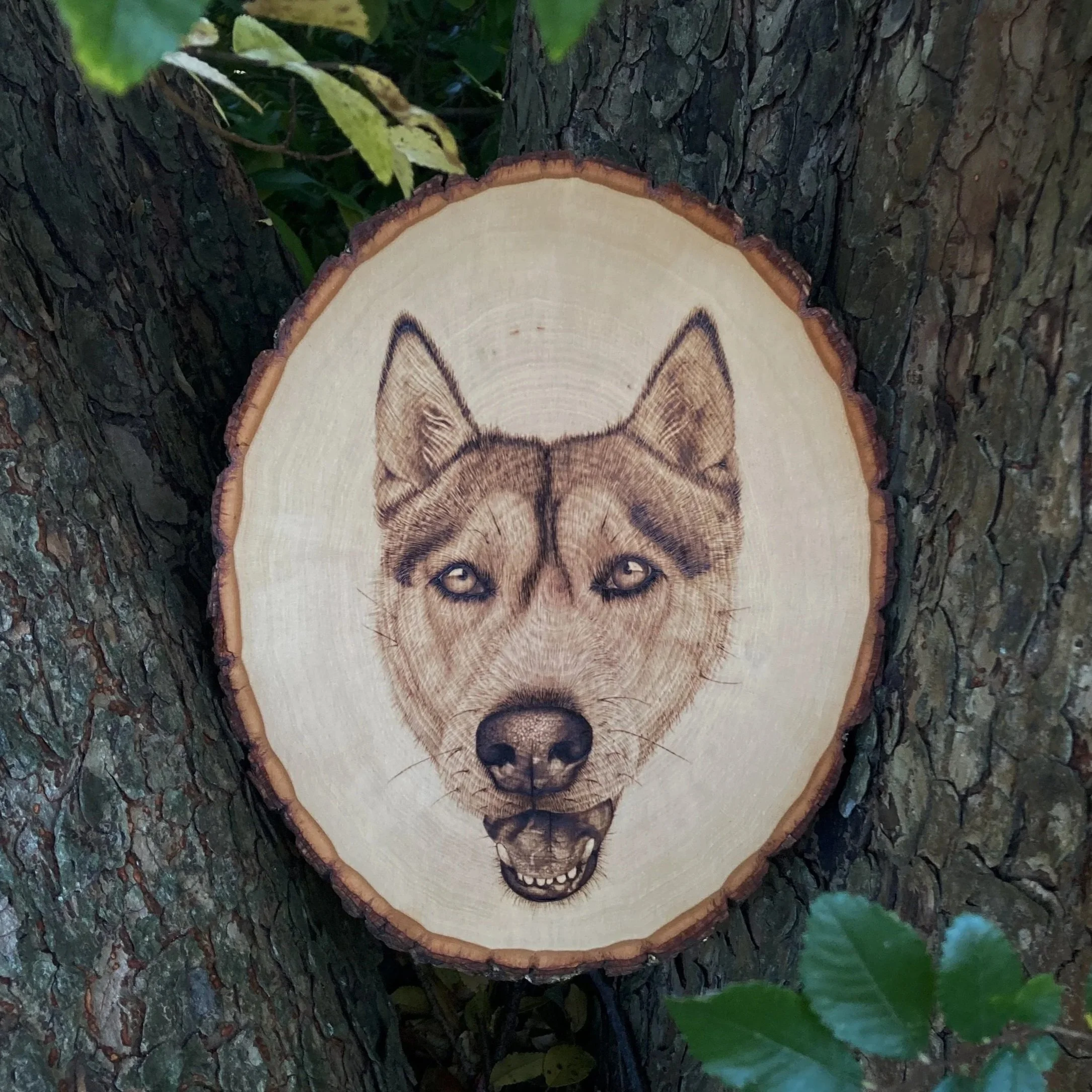 Pyrography+-+Husky.jpg