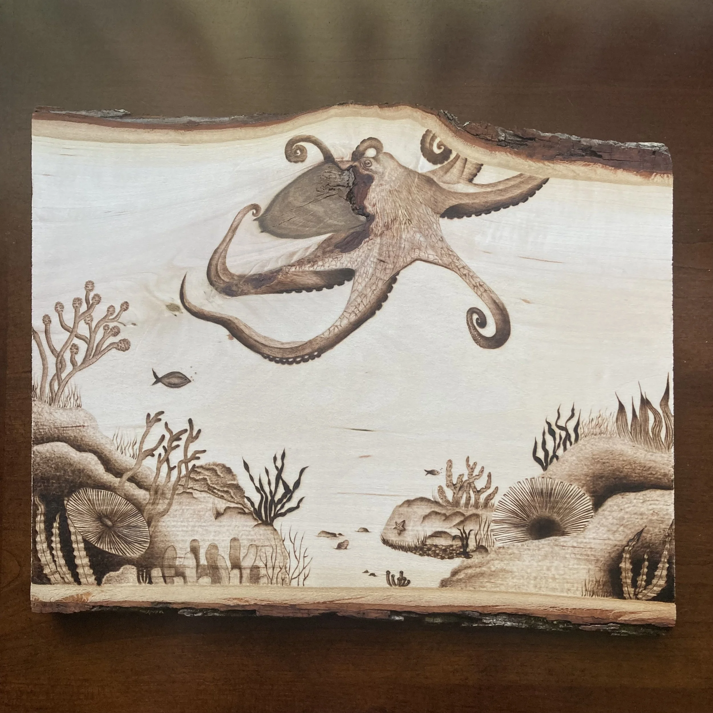 Otherworldly - with natural wood knots