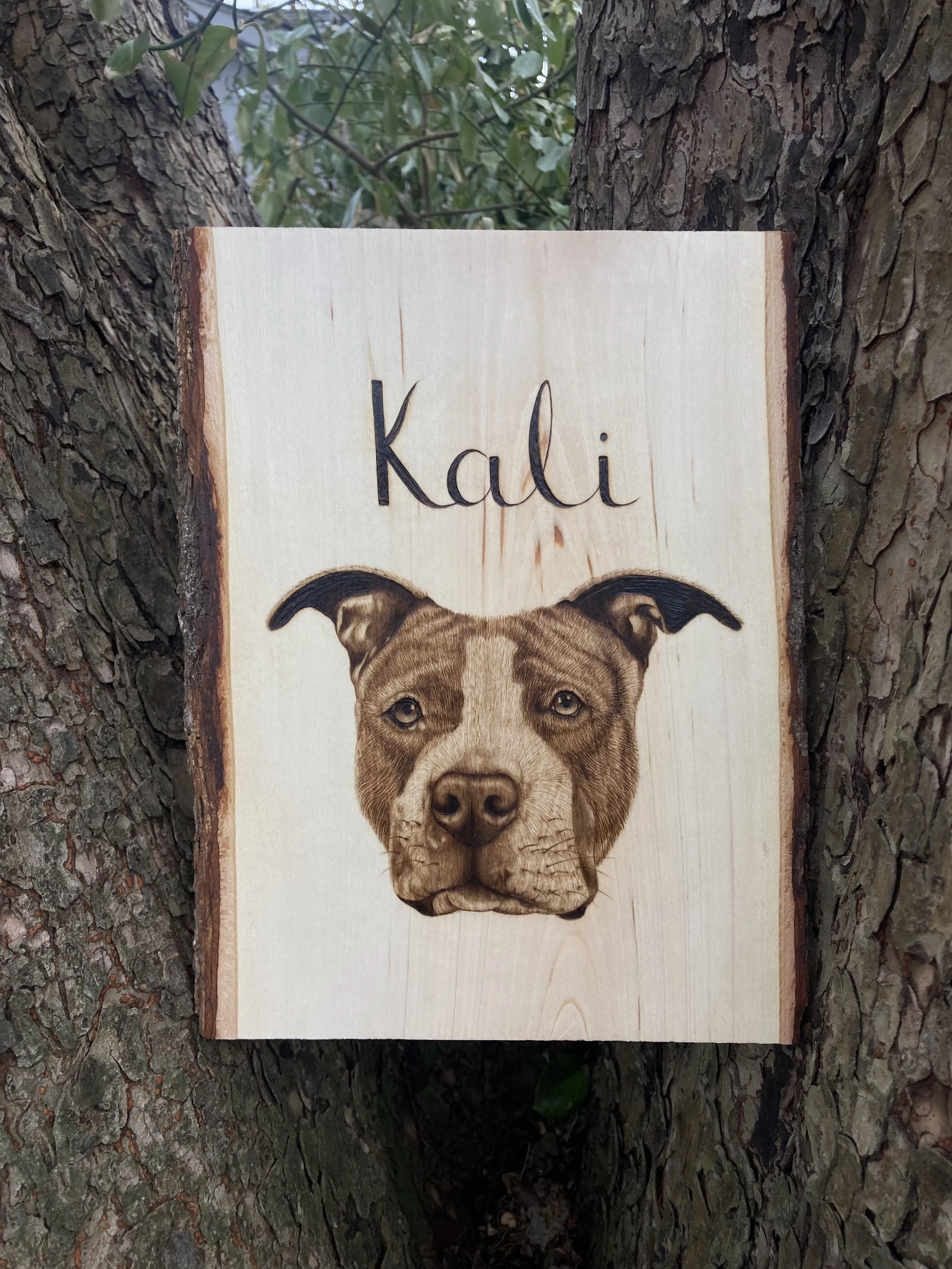 Kali dog wall custom pyrography.jpeg