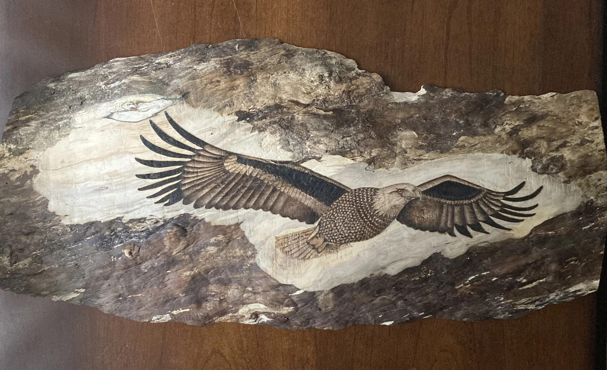 ''Soaring Freedom''