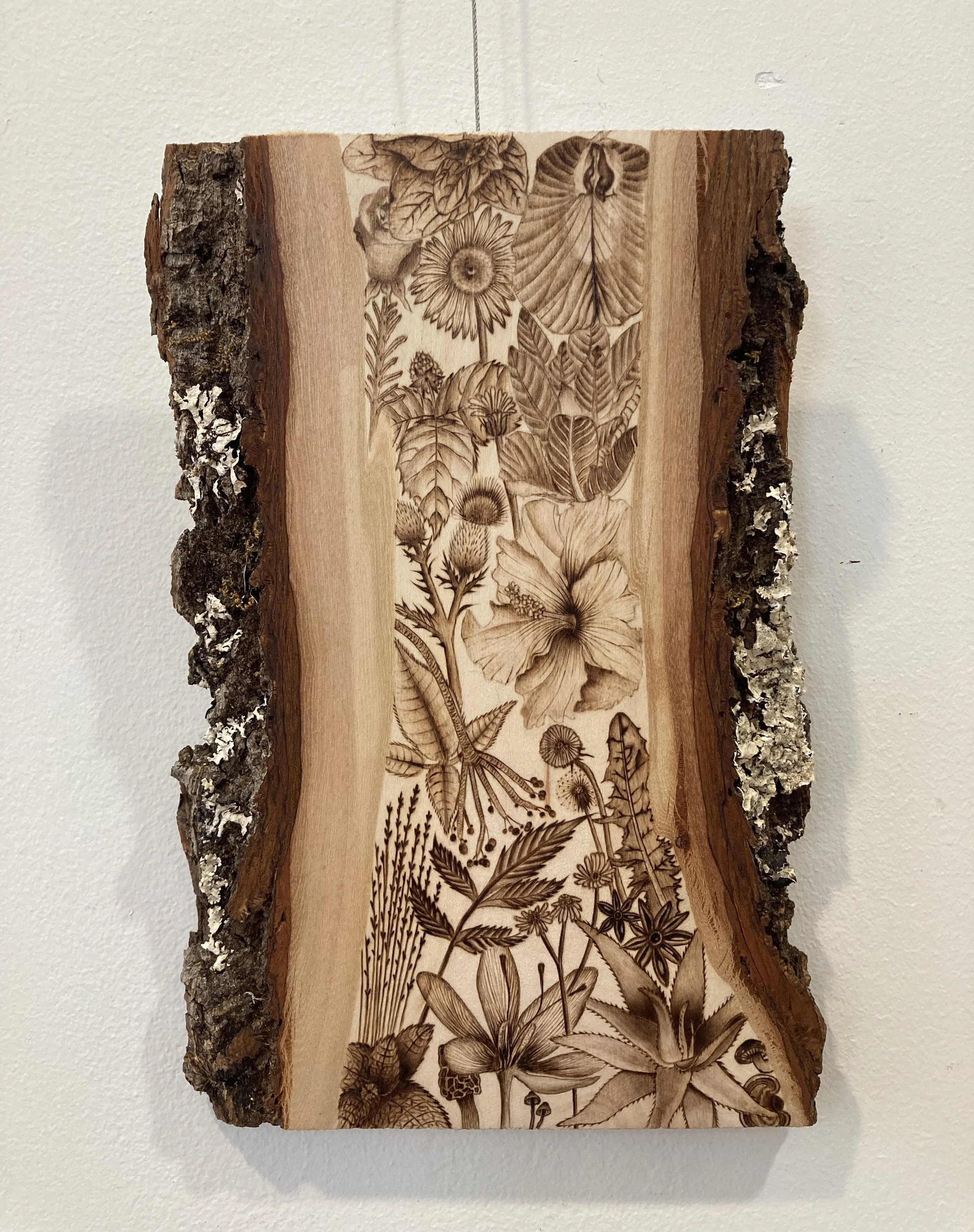 ''Herbalism''