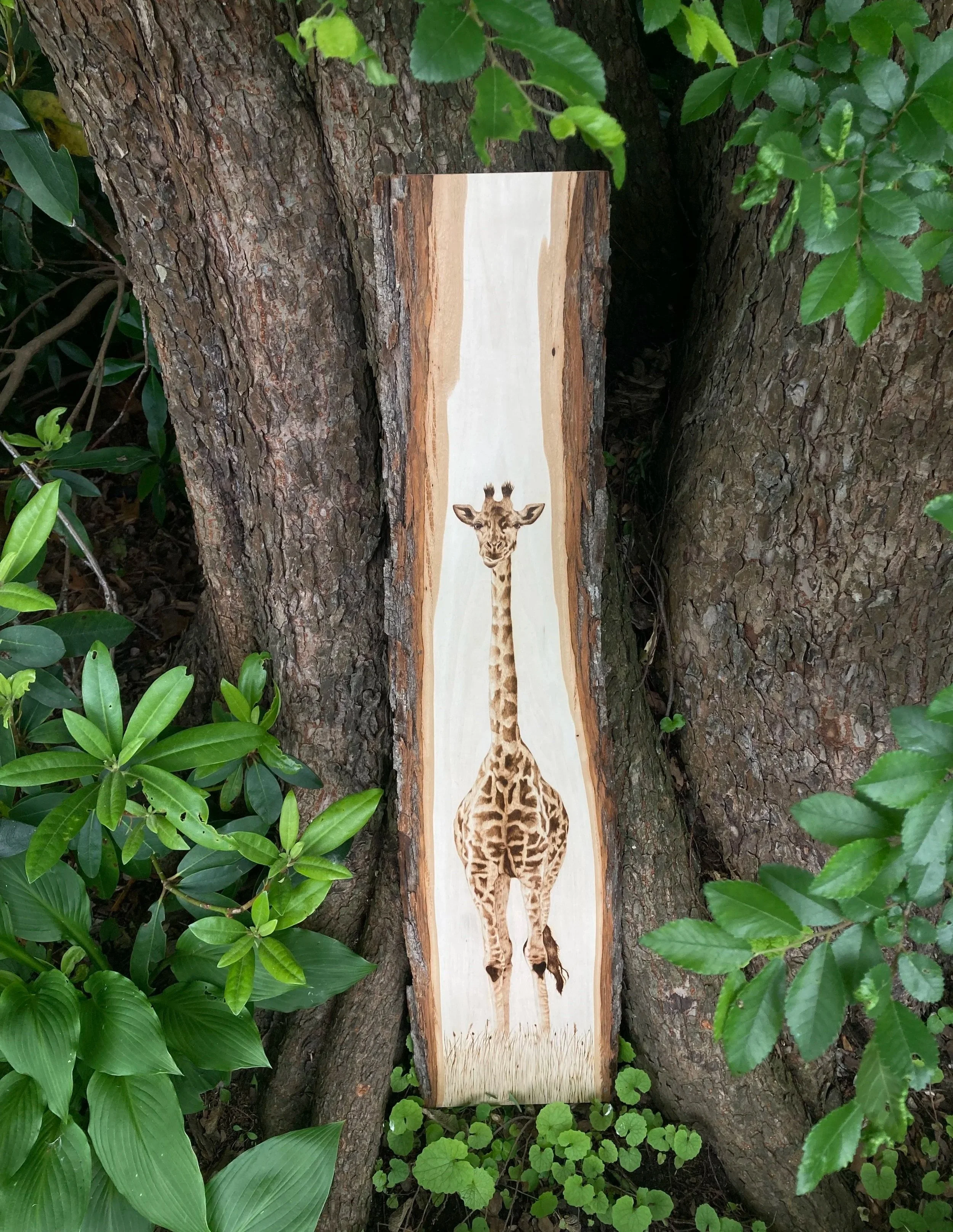 Reaching New Heights