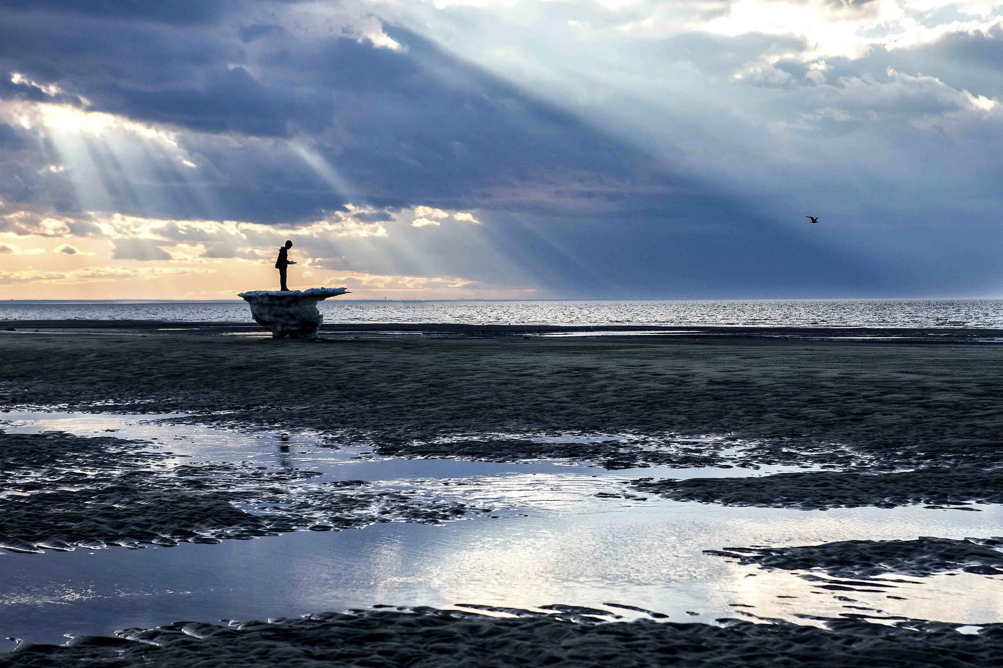 Nature's Cathedral, Brewster