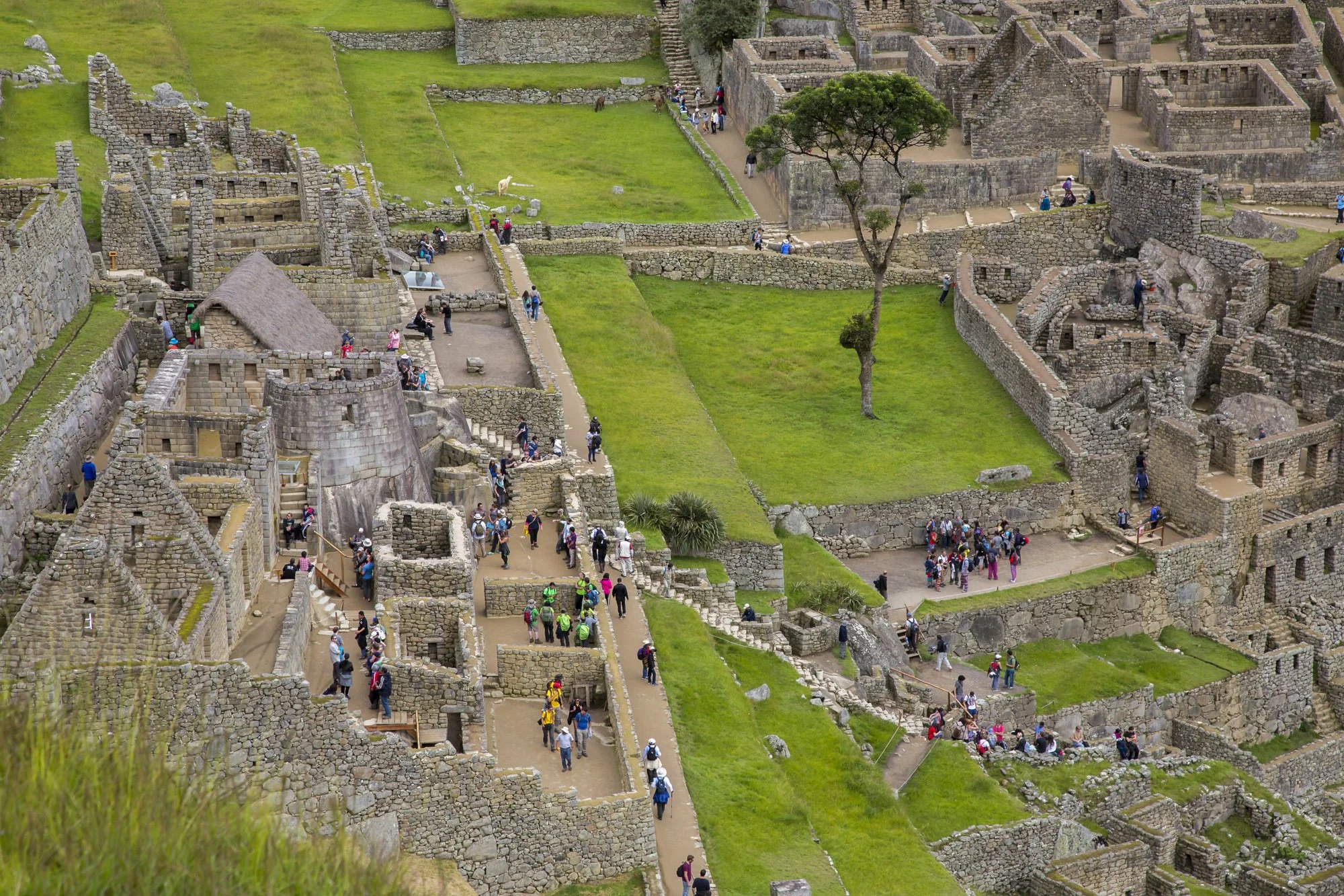 Machu Picchu, Peru
