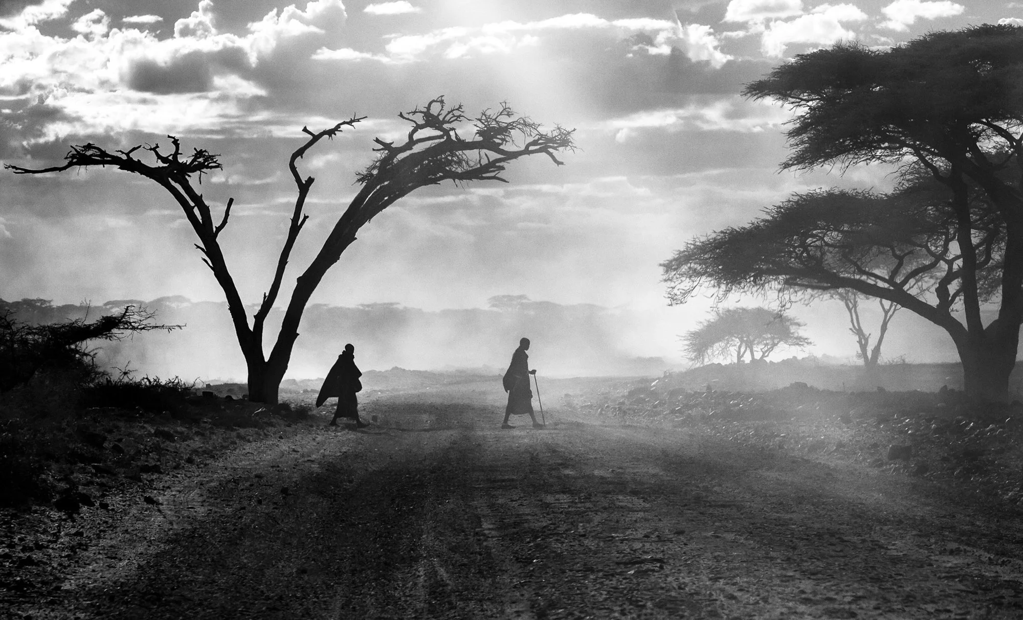 Serengeti National Park, Tanzania