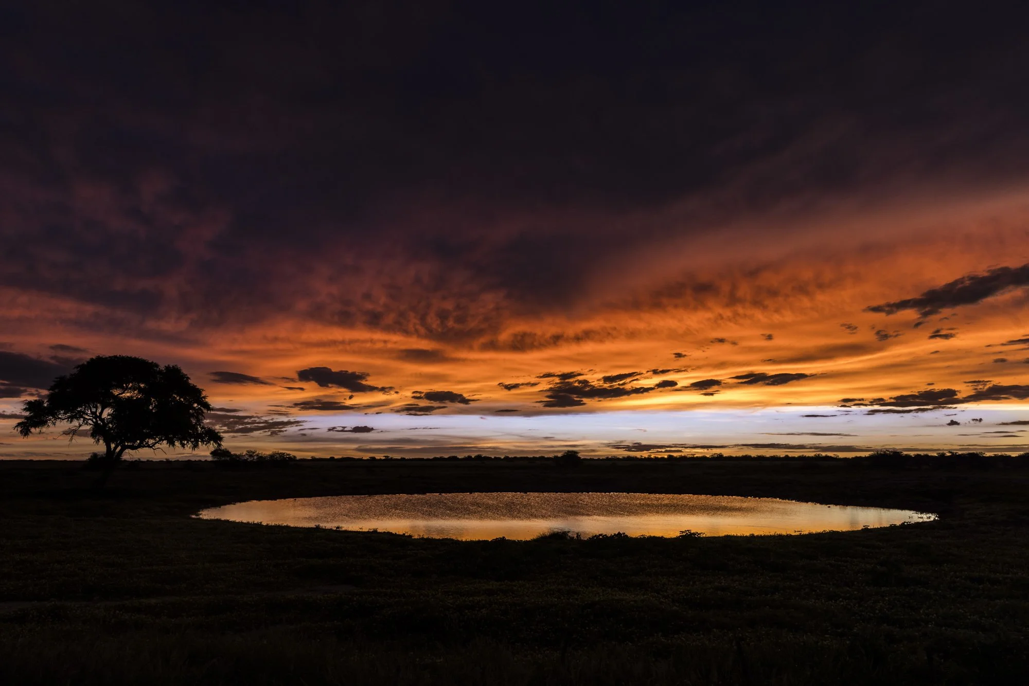 Etosha National Park, Namibia