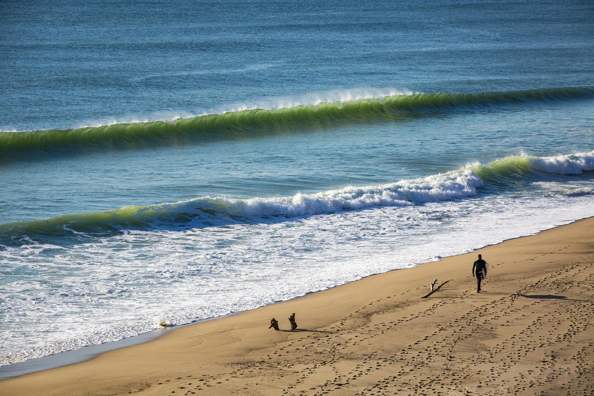 Surfer, White Crest Beach, Wellfleet