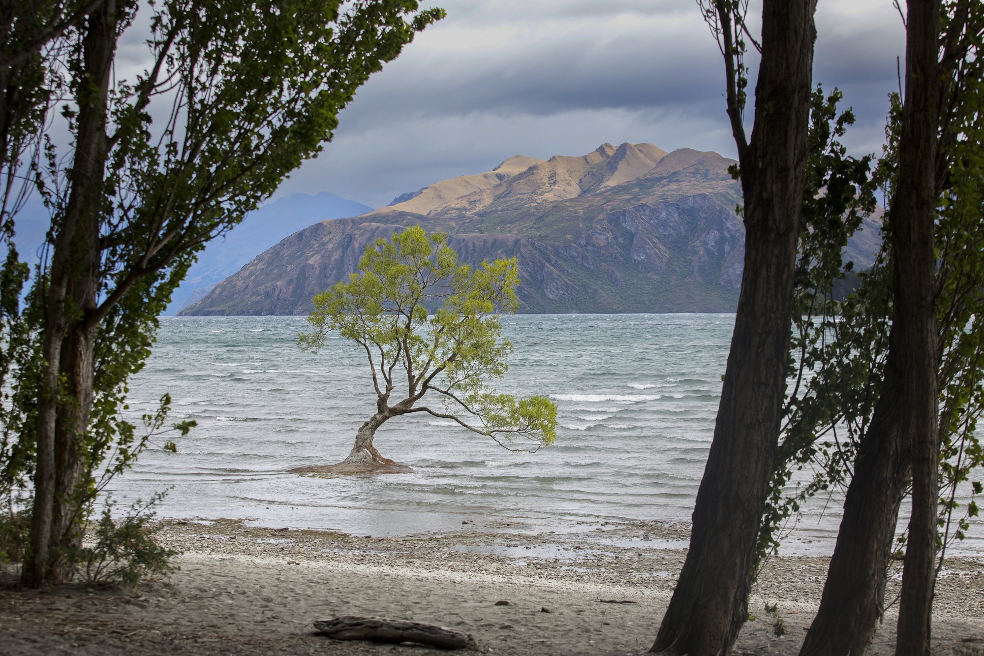 Lake Wānaka, South Island, New Zealand