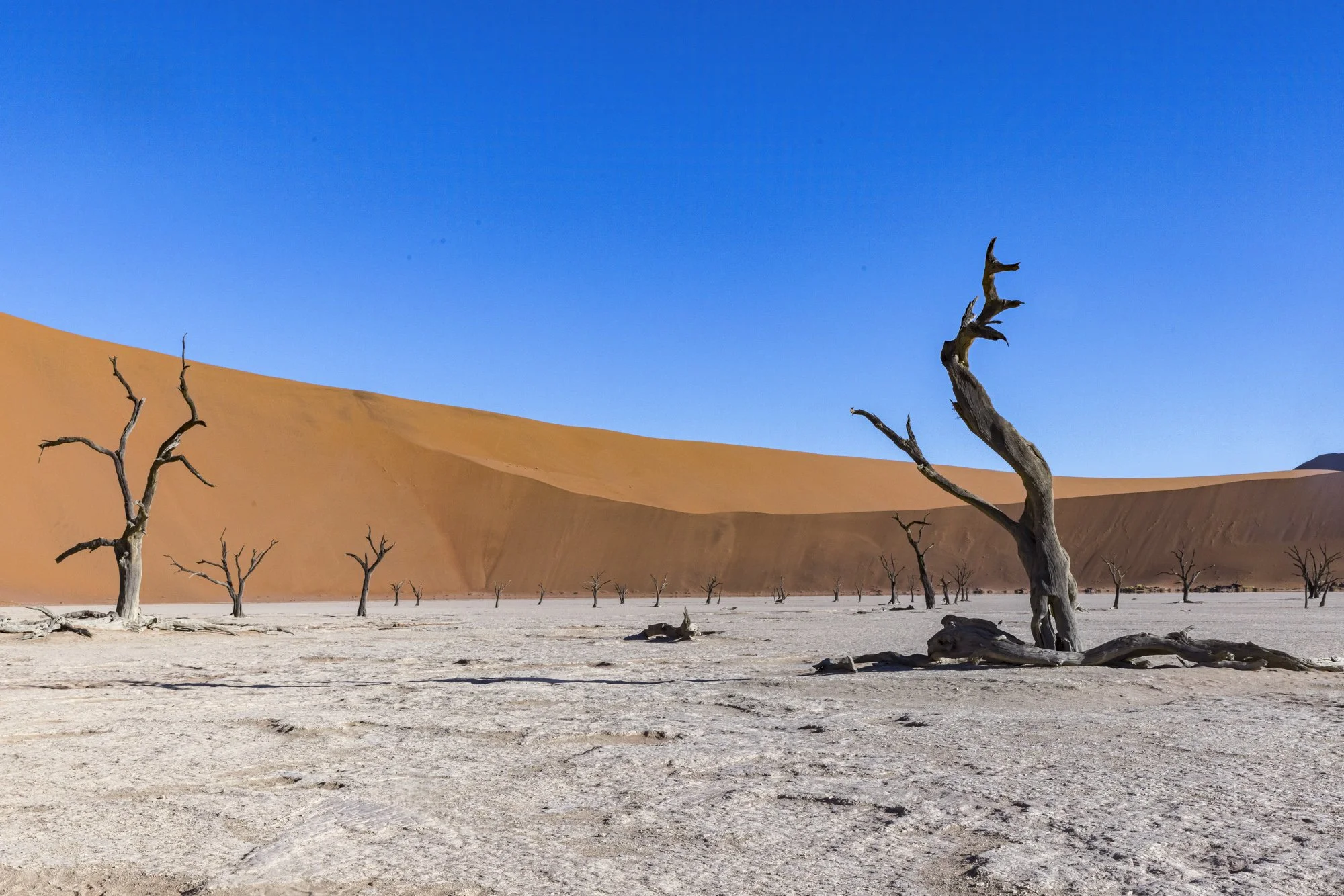 Sossusvlei, Namibia