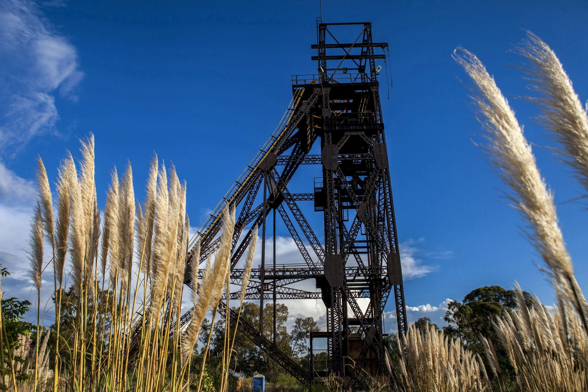 The rusting headgear of the long-abandoned Durban Deep Gold Mine rises above a field of pampas grass on Johannesburg’s western fringe. Once the gateway to one of South Africa’s most productive shafts, the structure now stands as a skeletal monument t