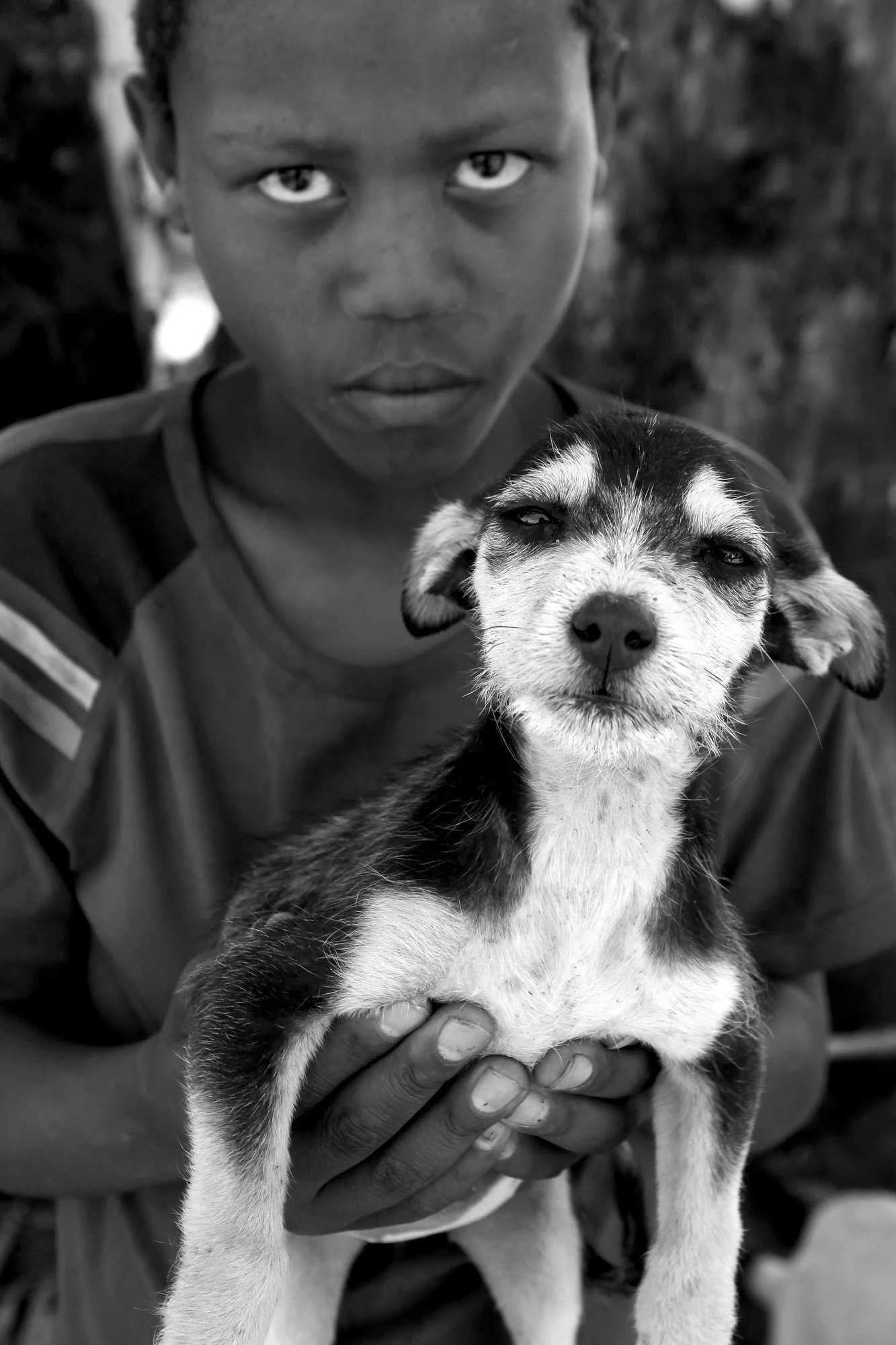 A boy holds his puppy while waiting for treatment at a mobile clinic in Soul City, a township — an under-resourced community outside Johannesburg, South Africa. IFAW’s CLAW program provides vital veterinary care to pets in communities with limited ac