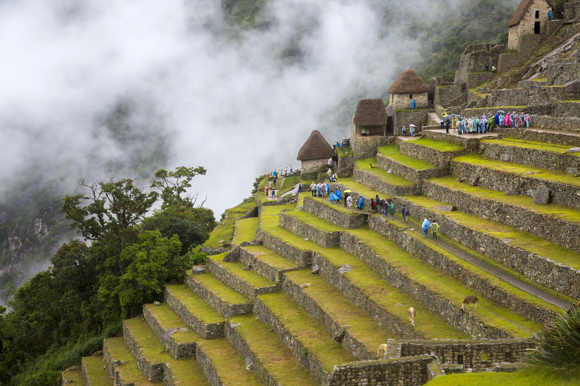 Machu Picchu, Peru