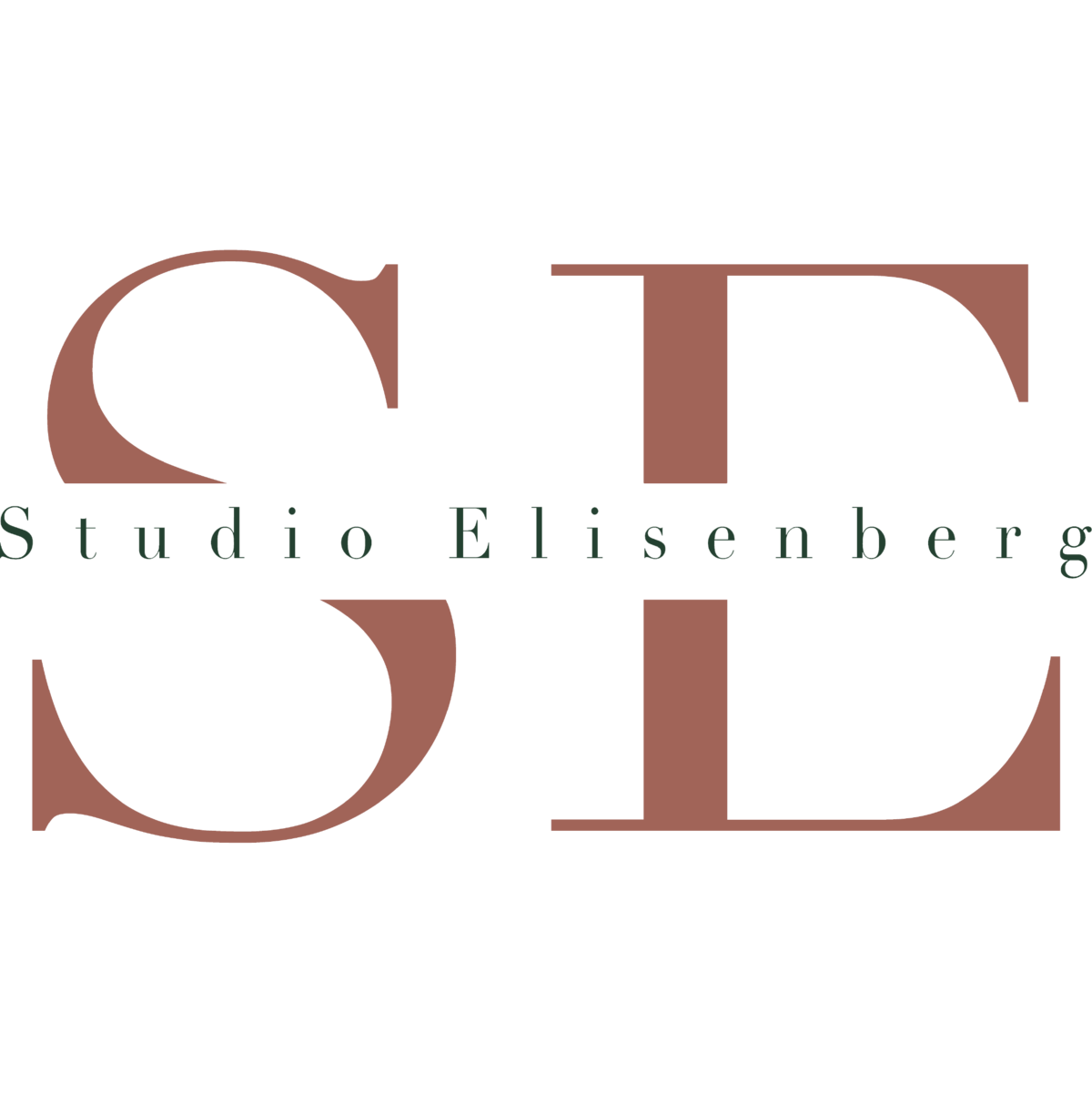 Logo for Studio Elisenberg with stylized brown letters 'SE' and black text 'Studio Elisenberg' underneath.