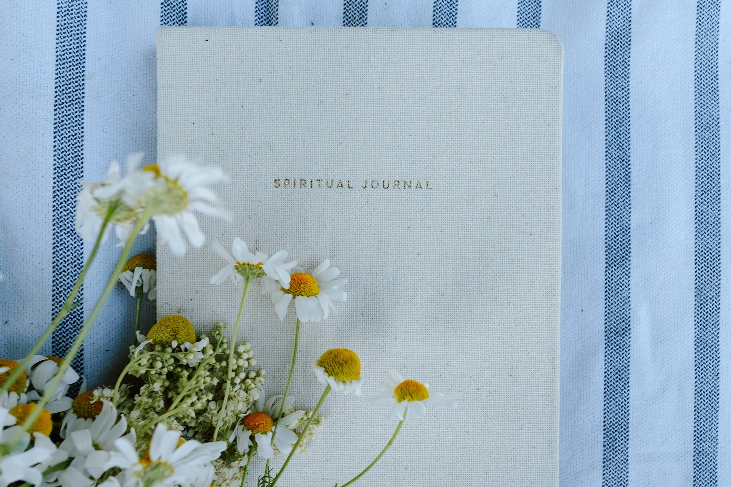 unsplash-image-4z5jWEkL8D4.jpg