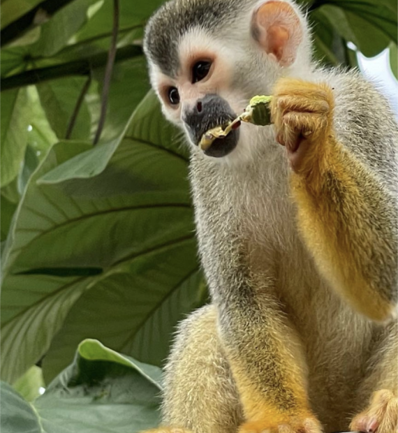 Screenshot 2025-10-20 at 6.31.38 PM.png