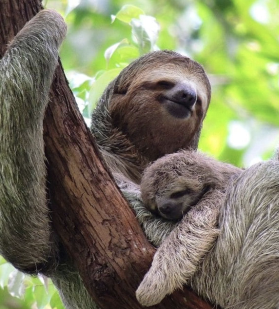 Screenshot 2025-10-20 at 6.32.10 PM.png