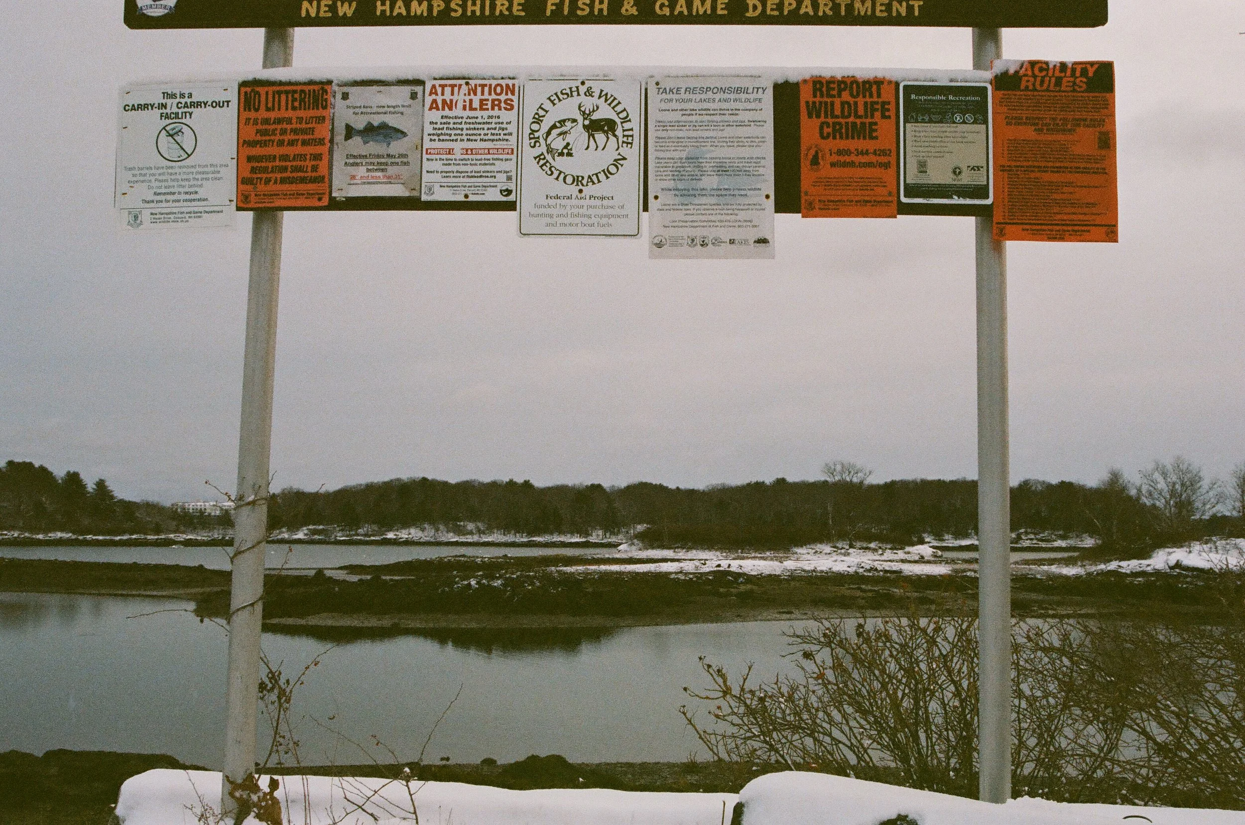 DKM-17.jpg