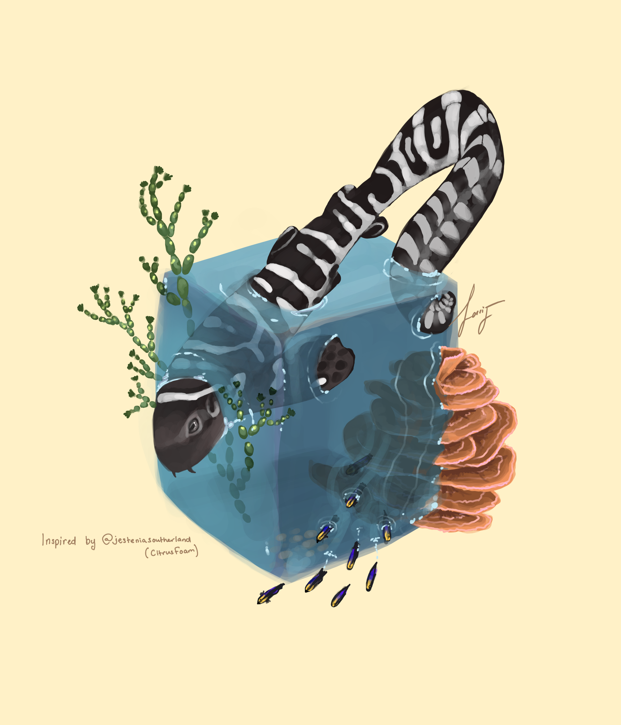 01_03_CitrusFoam_Study.png