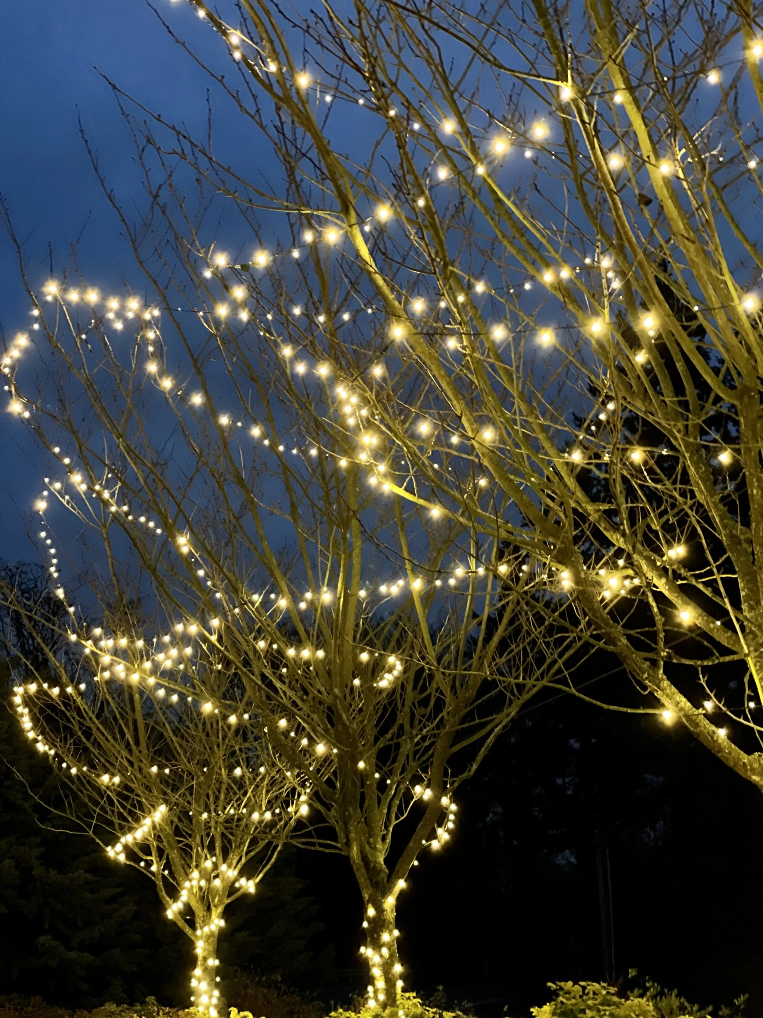 Beautiful Day installs beautiful, professional Christmas lighting on commercial and residential properties.