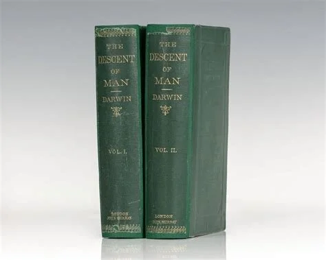 image2 (2).jpeg