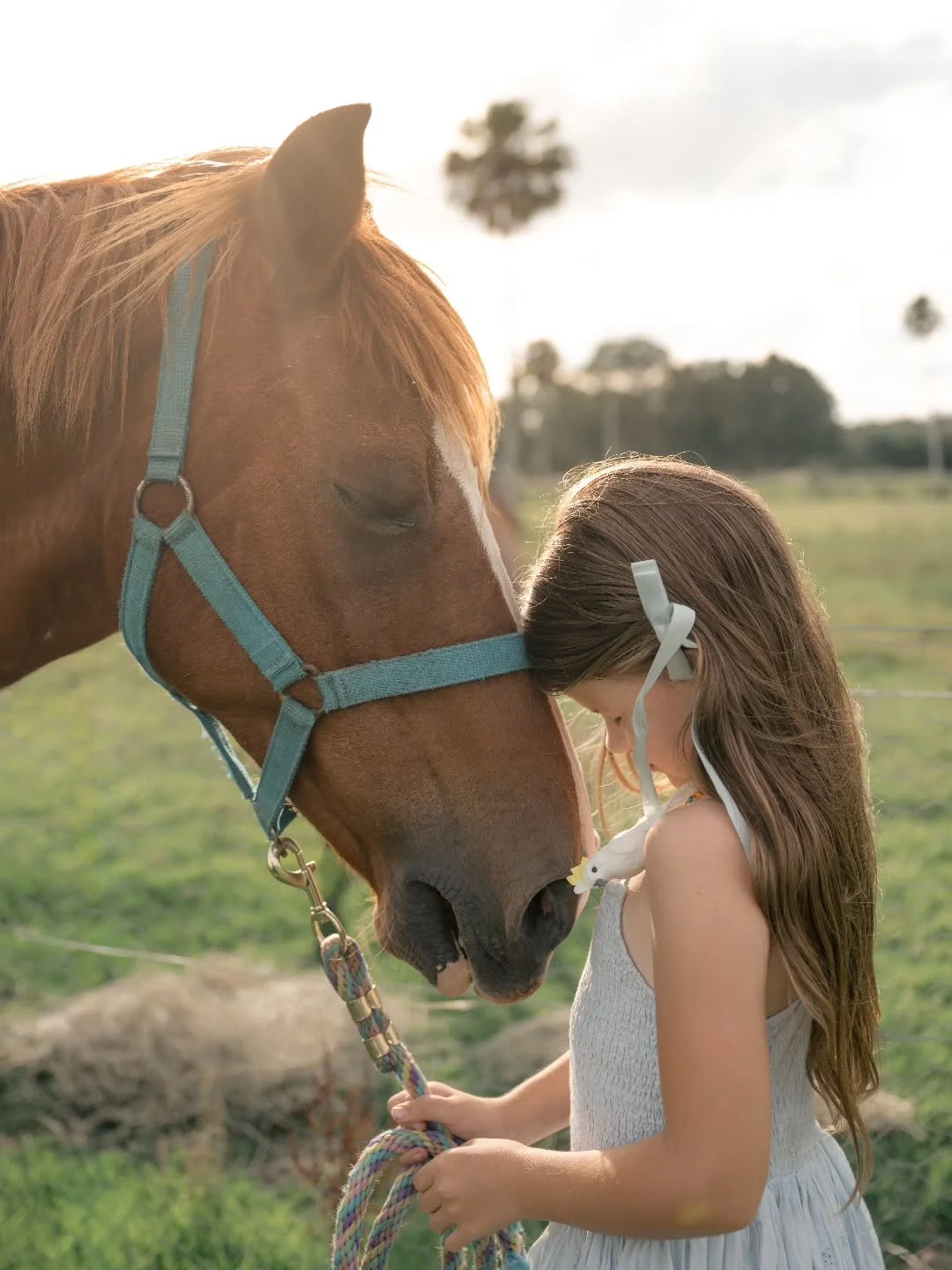 Moments to treasure ✨️🌴 a girl and her best friend 🤍