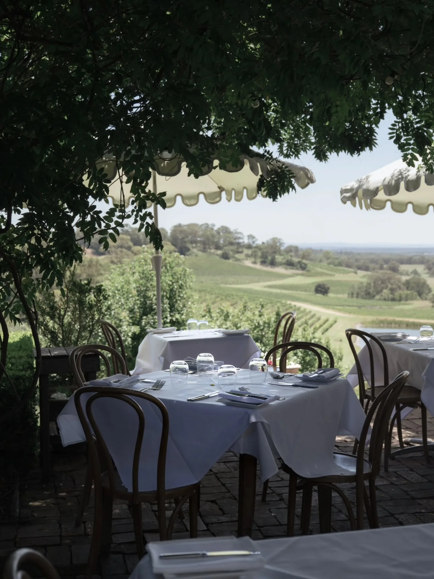 A beautiful long lunch for a lovely clients 70th! 🎂🤍 

What a stunning venue! @bistromolines 🥂