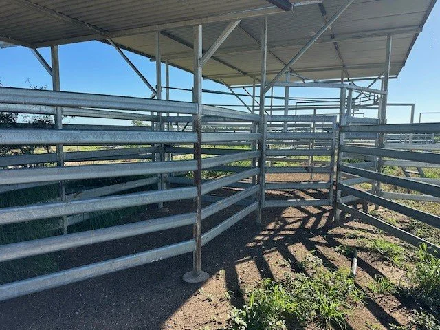 Empty metal livestock holding pen with a covered roof, shadows cast on the ground, and green plants growing nearby.