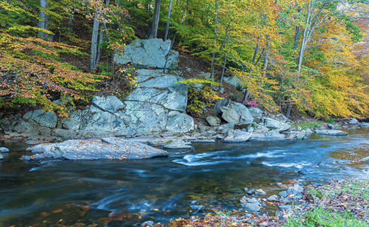A river flowing through a forest with colorful fall leaves and large rocks along the shoreline.
