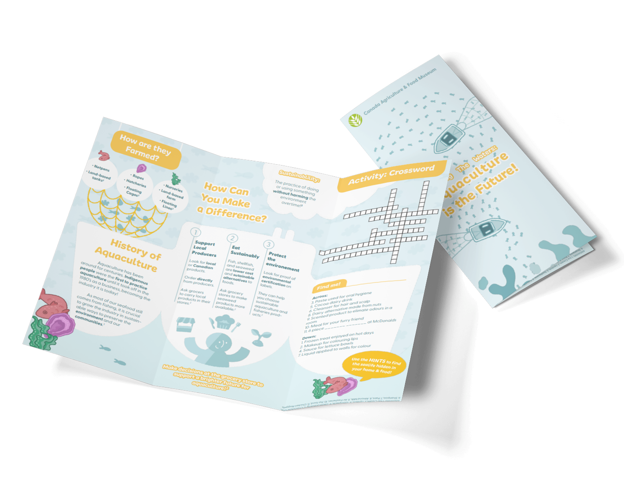 Trifold Brochure.png