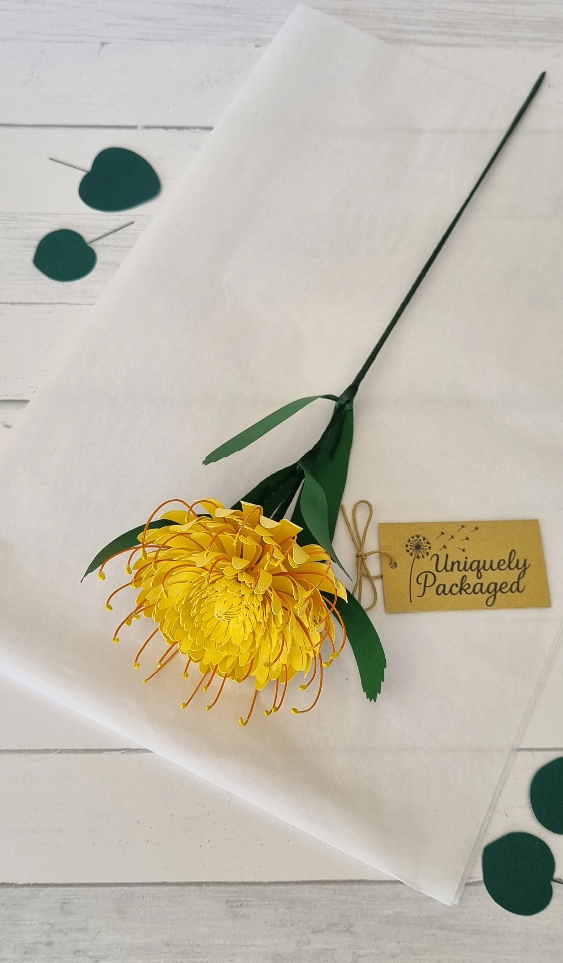 Handmade paper native flowers – 12 Flowers of Christmas box, Pincushion Protea