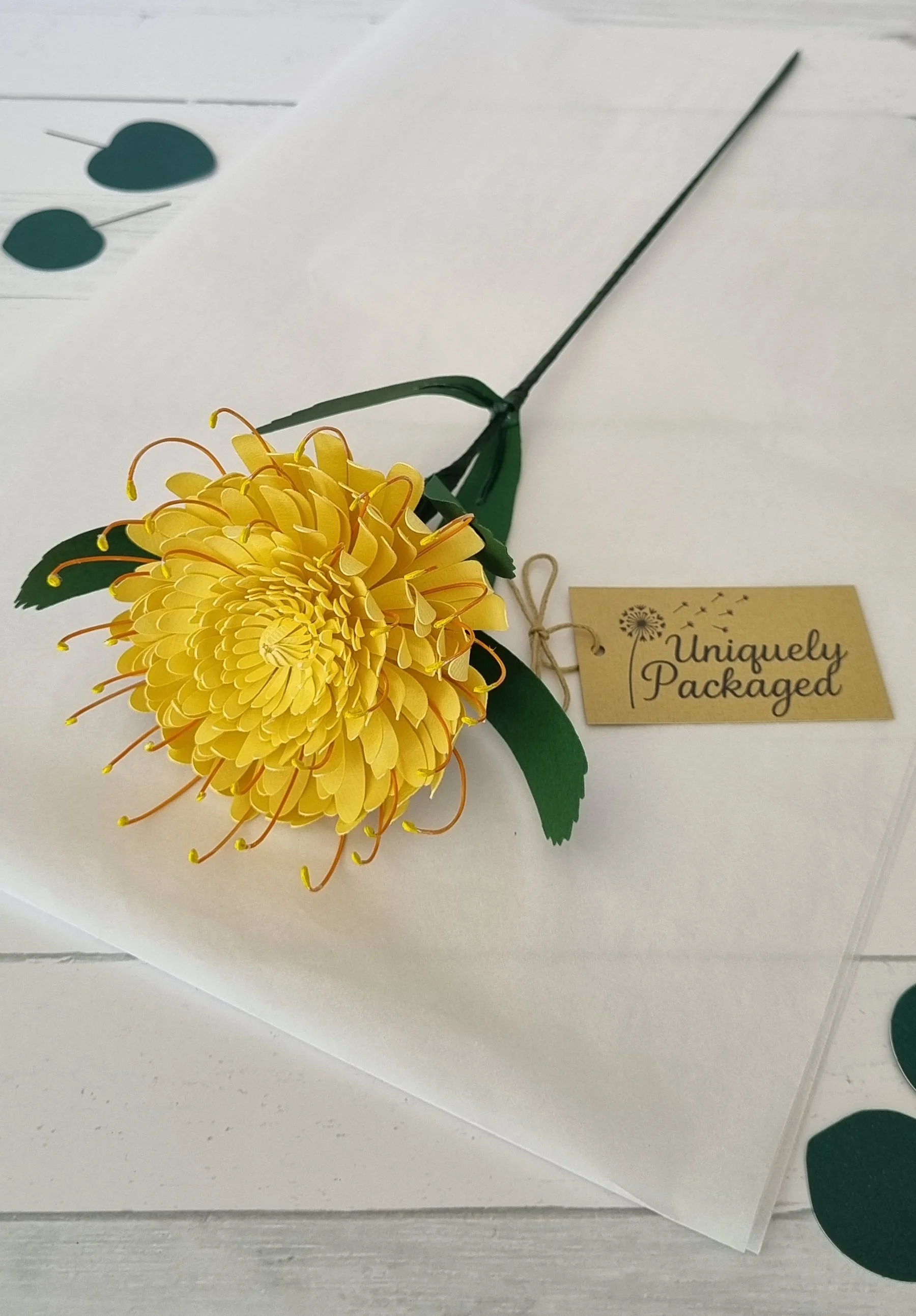 Handmade paper native flowers – 12 Flowers of Christmas box, Pincushion Protea