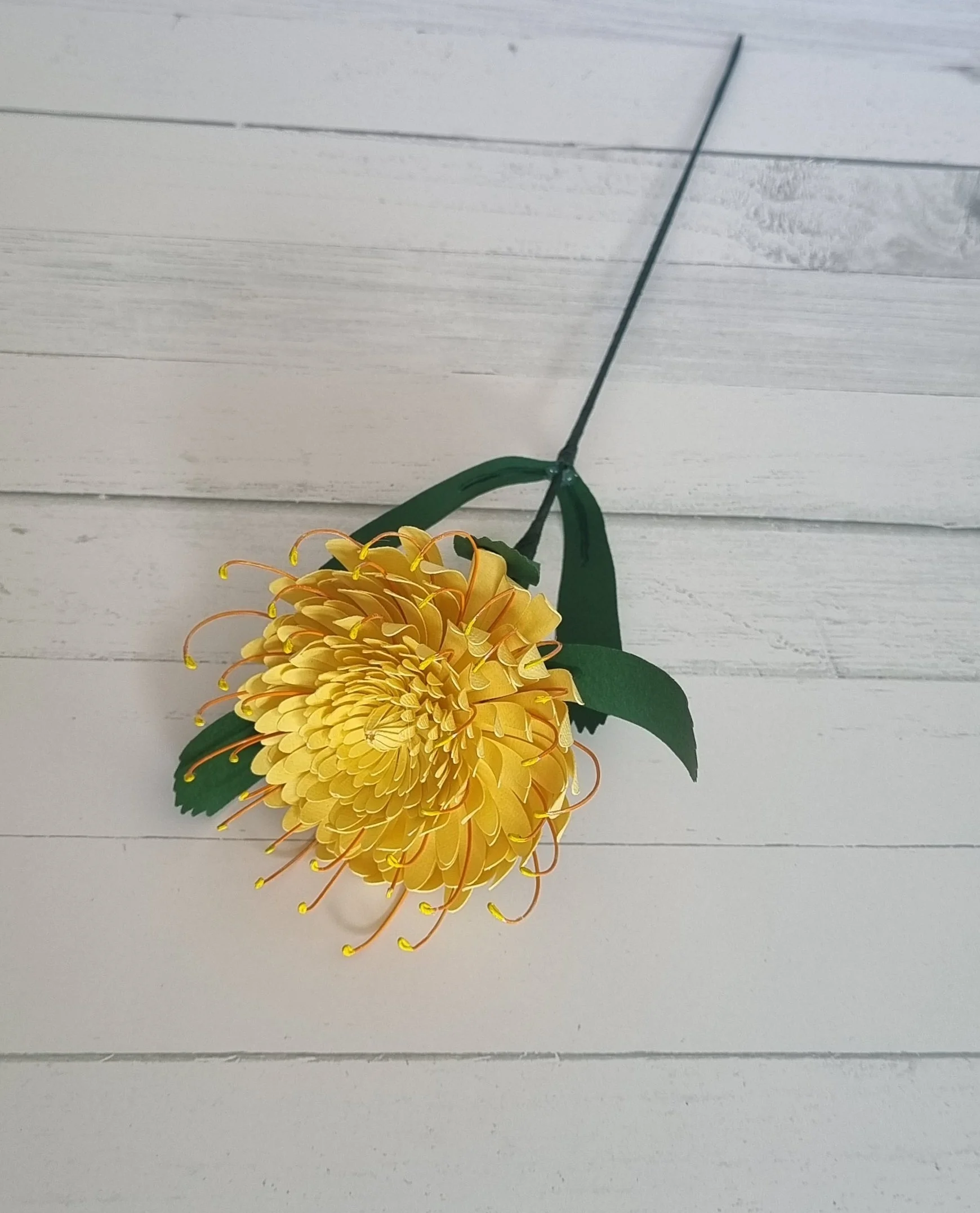 Handmade Pincushion Protea Stem | Everlasting Flower