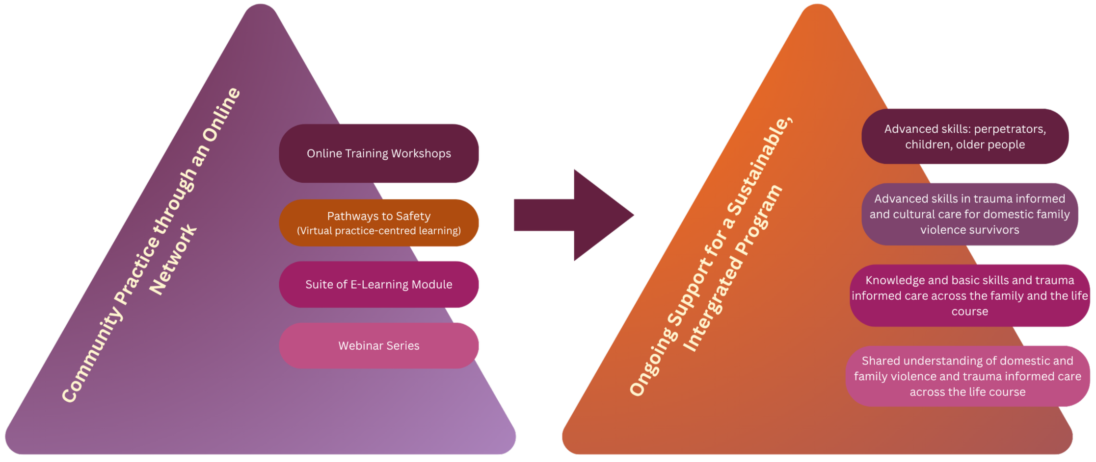 Diagram showing community practice methods through online network leading to ongoing support for a sustainable, integrated program, with components like online workshops, virtual pathways to safety, e-learning modules, and webinars, and outcomes including advanced skills, trauma-informed care, and shared understanding of domestic violence and trauma