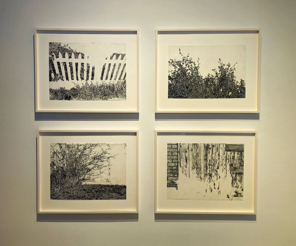 4 Main Drawings Framed. Foliage/Brambles/Killarney/Millrise. 2024-2025