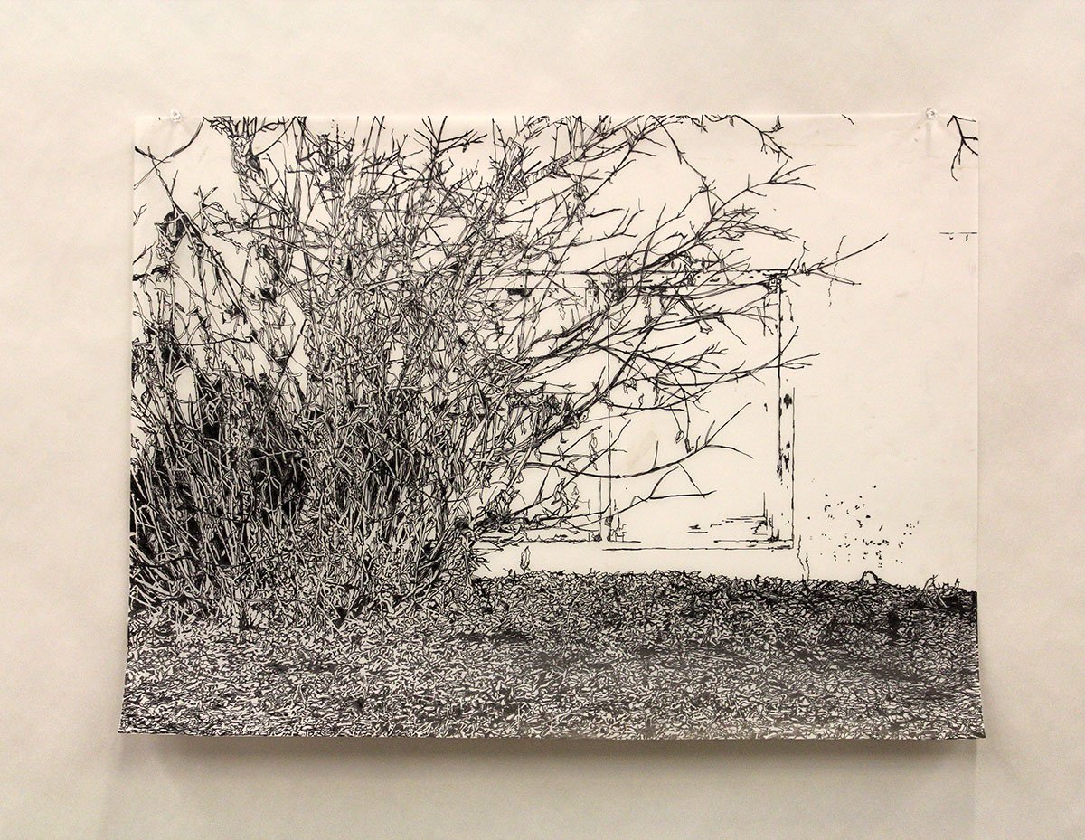 Killarney Window - Drawing on Film 2024-2025