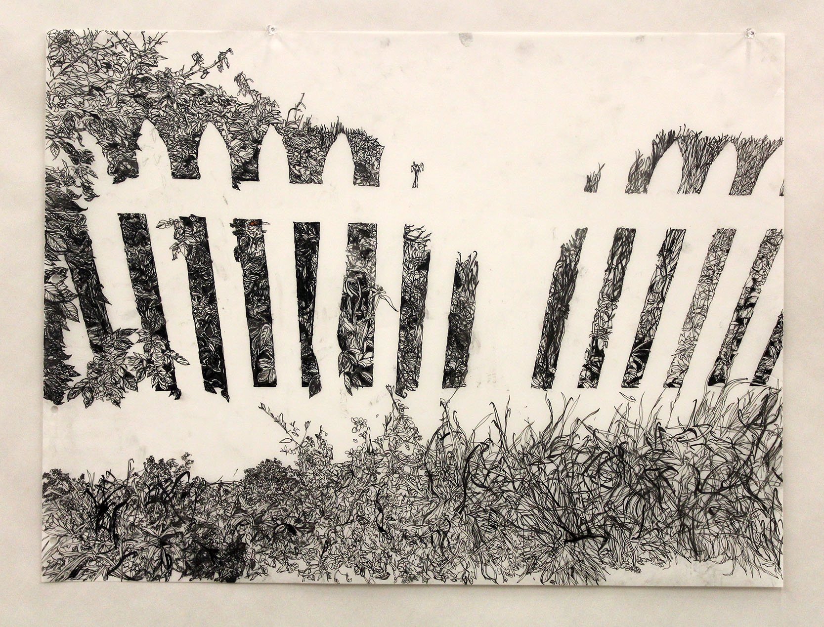 Foliage: Rapidograph and colored Pencil Drawing on Film. 2024