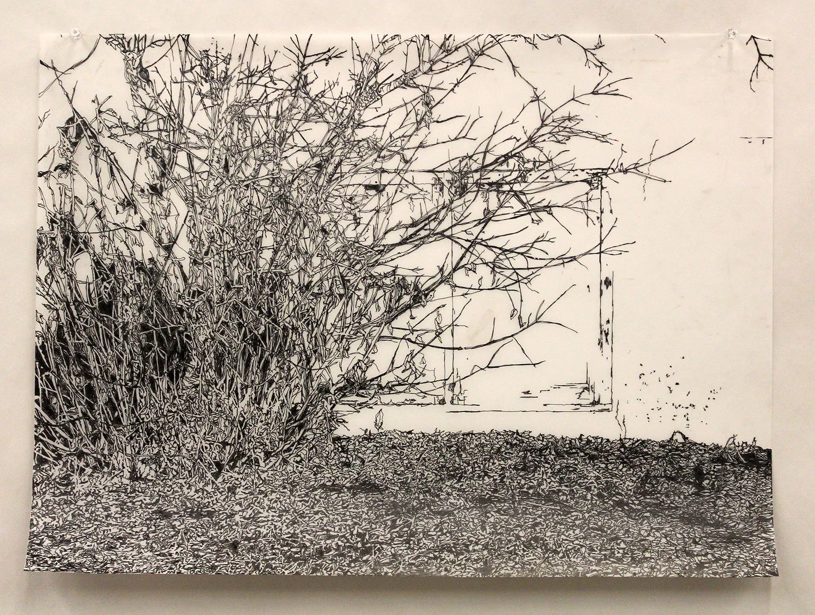 Killarney: Rapidograph Drawing on Film. 2024