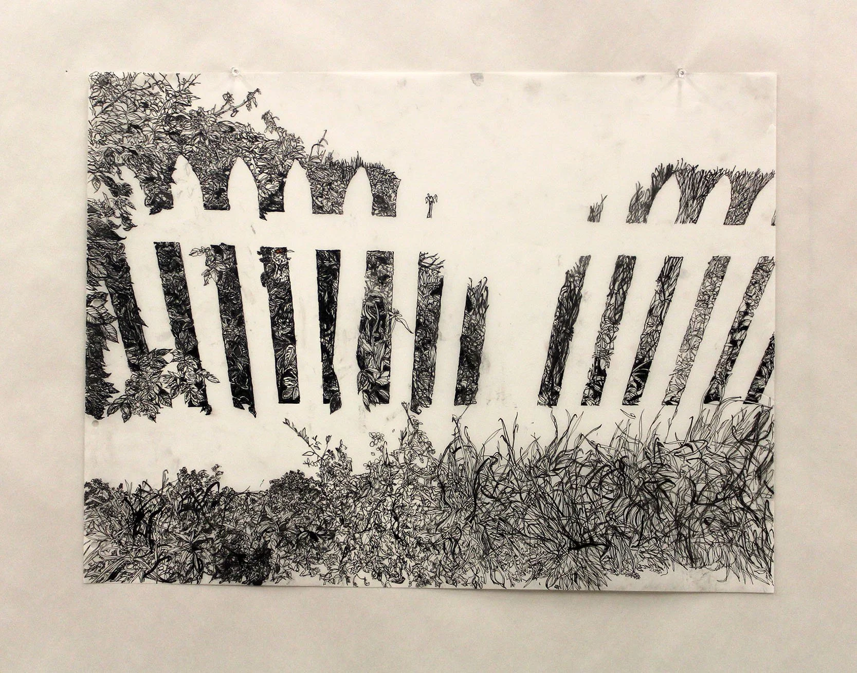 Foliage - Drawing on Film 2024-2025