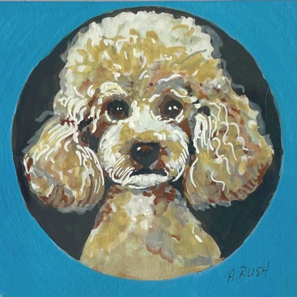 Anne+Rush+Pet+Portraits+1.jpg