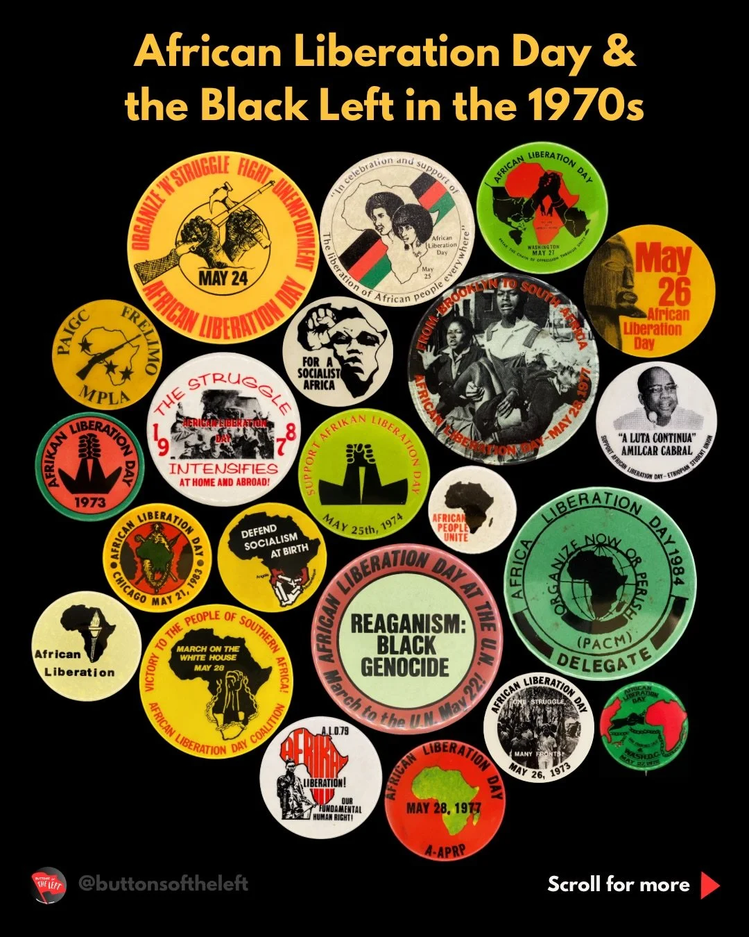 Beginning in 1972, activists in North America began holding annual demonstrations on the Saturday closest to May 25 in solidarity with liberation struggles in Africa (the date chosen to recognize the founding conference of the Organization of African