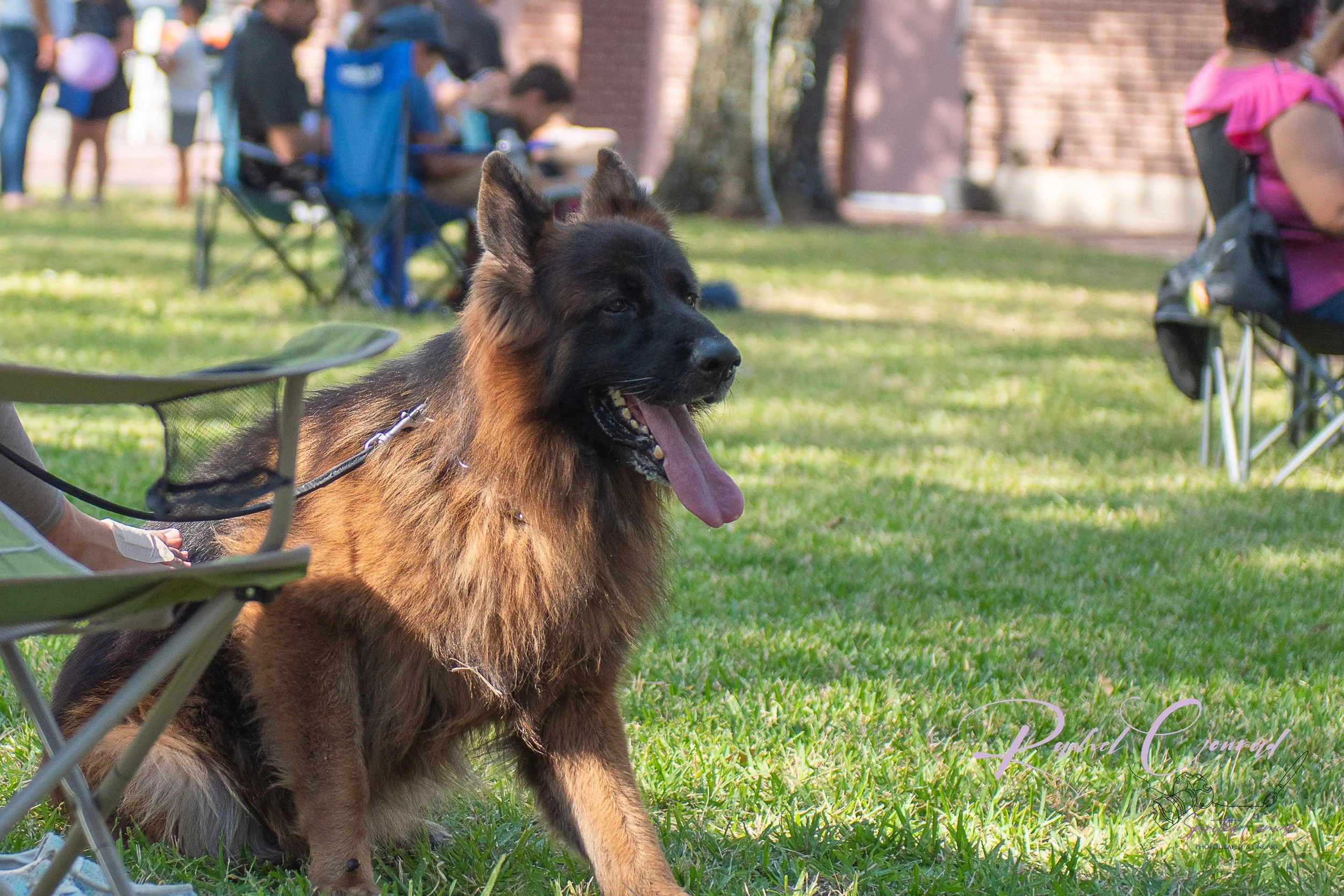 Spirited Canvas-United Hearts Music Festival-2.jpg