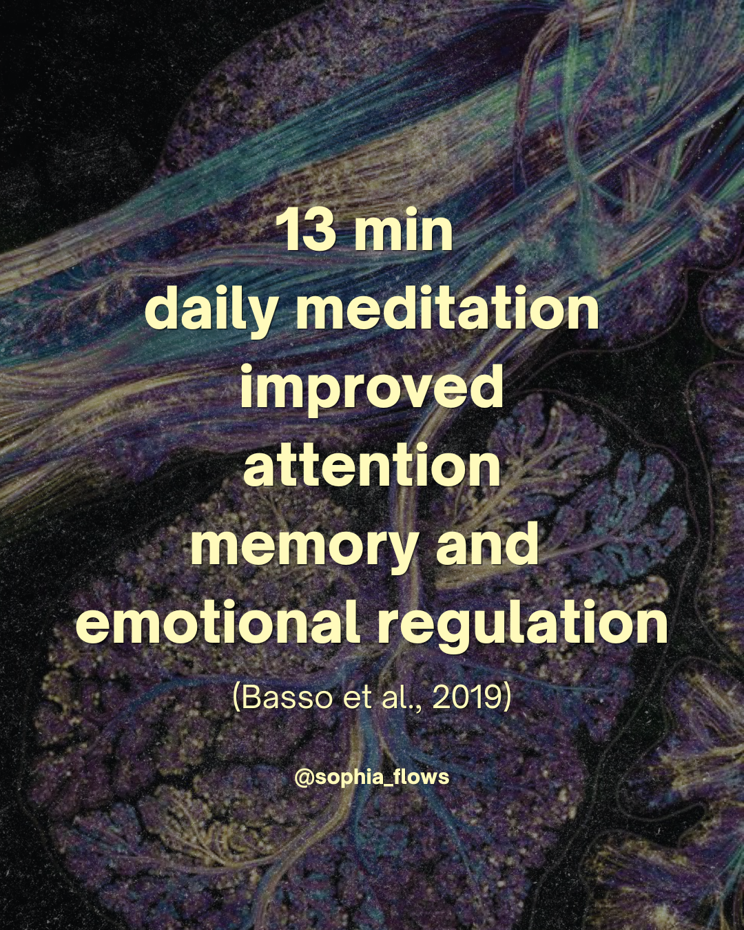 13-minute meditation improved attention, memory and emotional regulation (Basso et al., 2019)