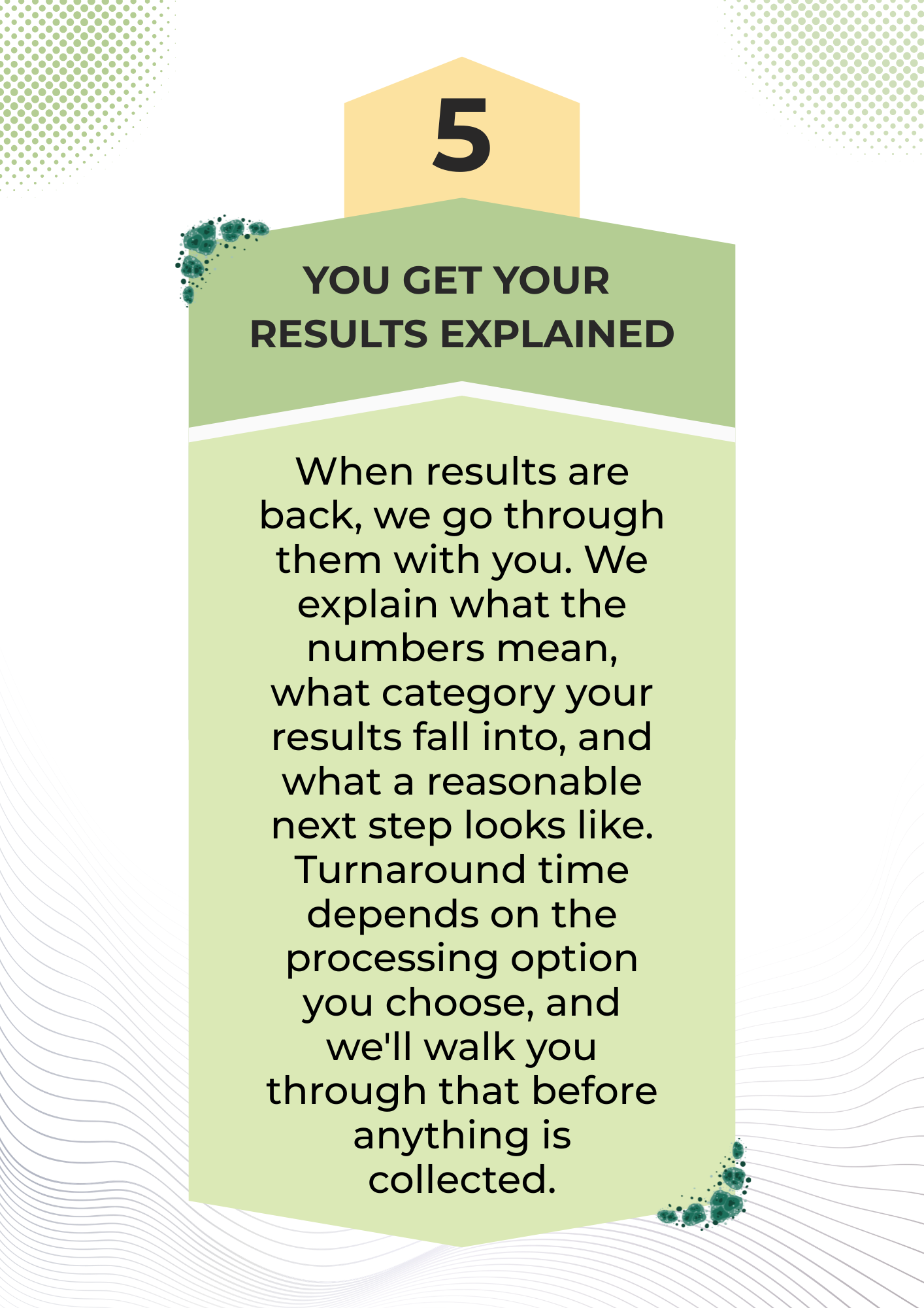 Depending on the processing, you will get clear and detailed reports of the mold inspection